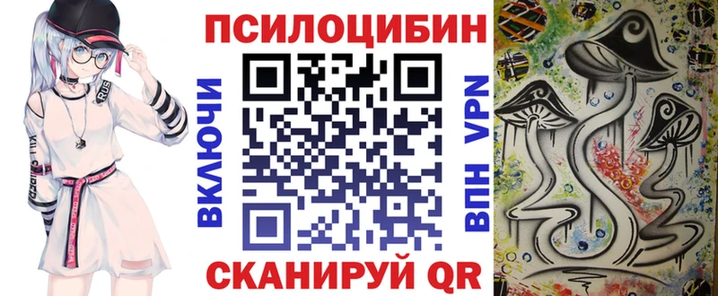 Галлюциногенные грибы Psilocybe Купить закладки Учалы