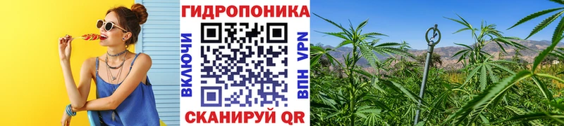 Купить  Учалы  Бошки Шишки индика 